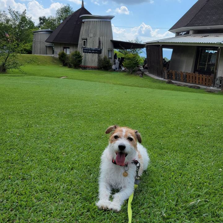 11cb5475 ccb5 497e b75f fe3f3c1db190 1723096434301