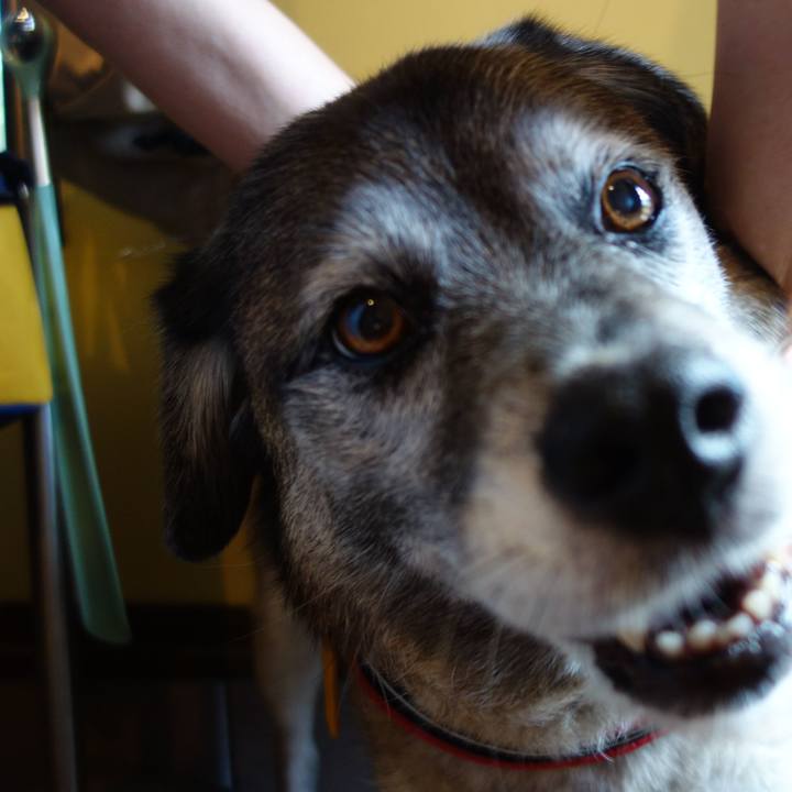 11cb6c61 83de 4fc1 a5af d4050ebd204f 1530487374026