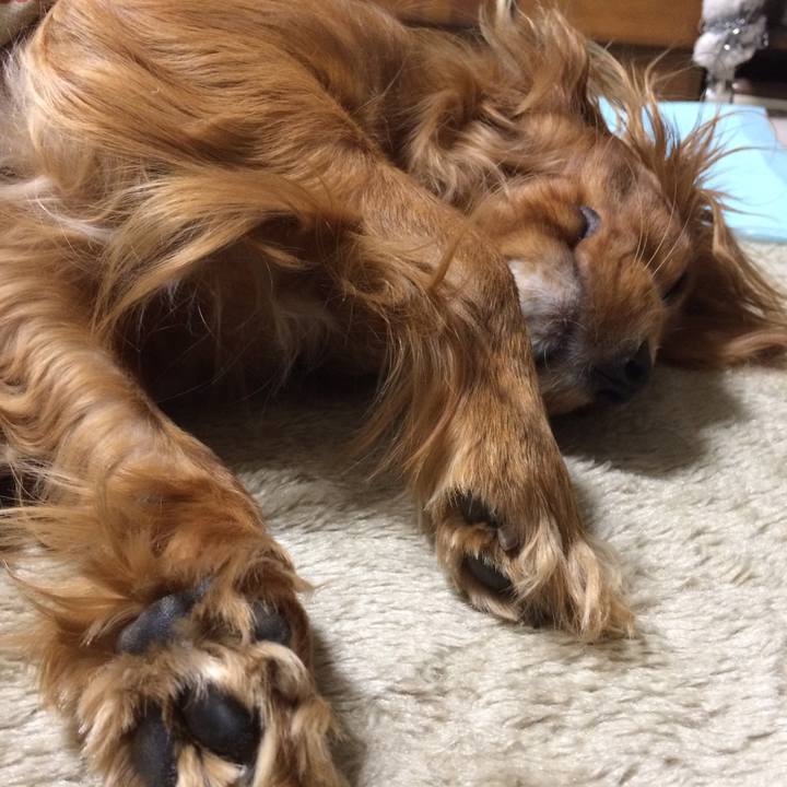 11cb8e18 35f5 4e13 a933 6b14e0482565 1518250701761