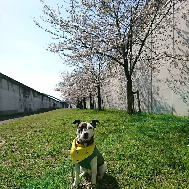 11cb9ac3 9c21 499d 83a1 a3661f071c5d 1521853705334