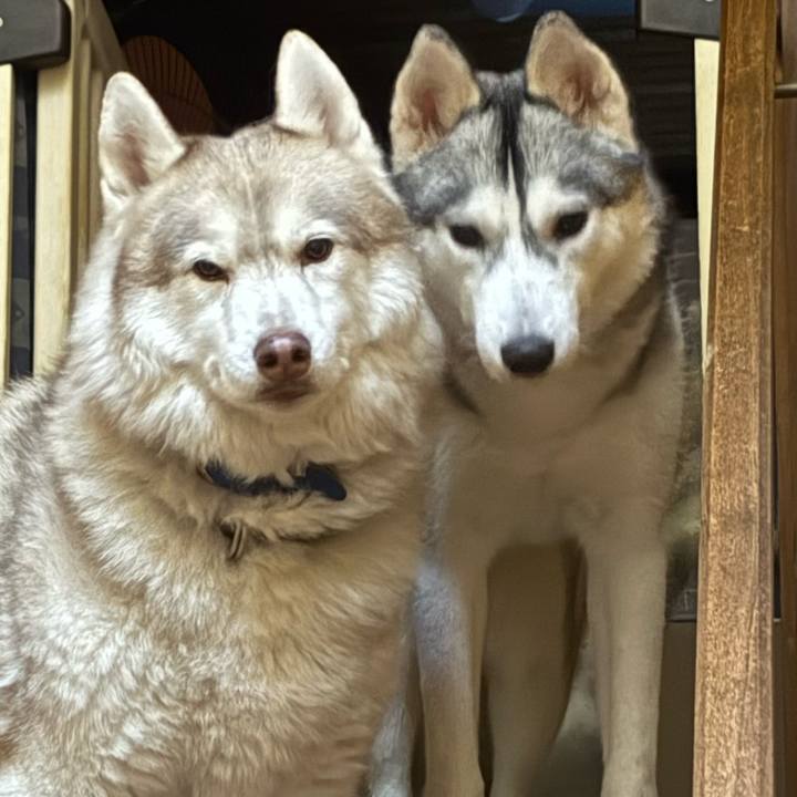 11cbbcd5 0519 4fb4 9952 14d140858188 1767073085869