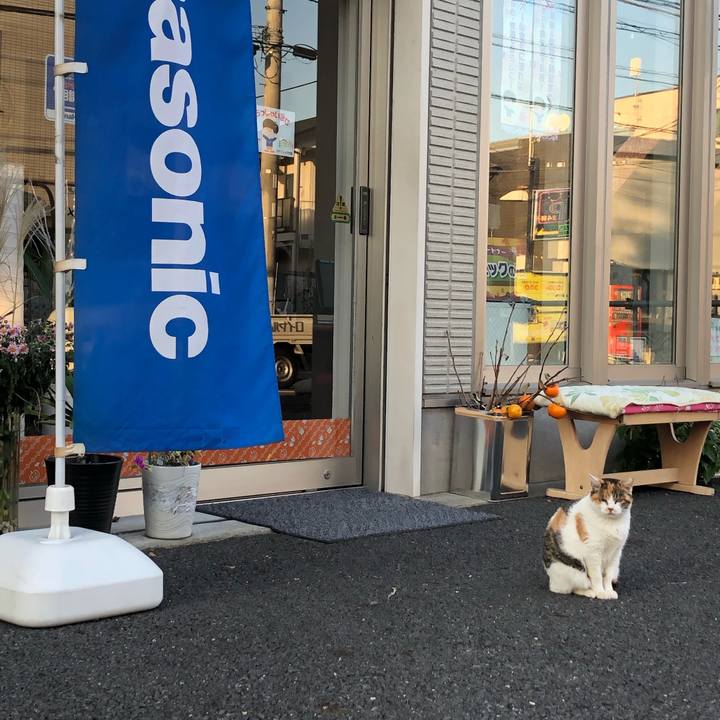 11cbd1d8 bc36 4091 9409 c5b8563e5692 1572732028661