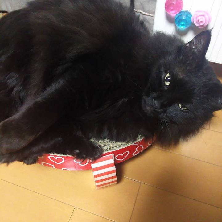 11cc1523 8b58 4ab5 8dc2 577978fa4c6f 1552324828212