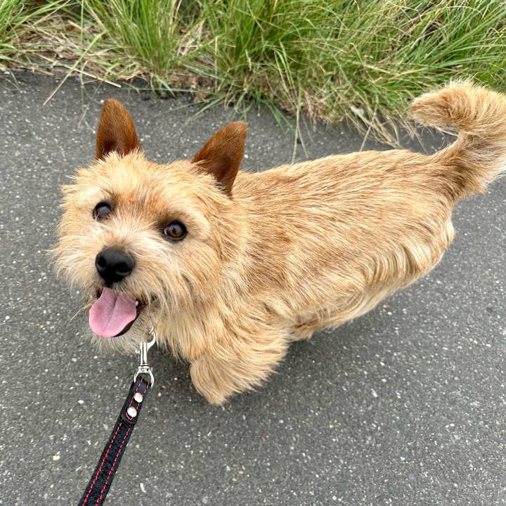 11cc53a0 de42 442b 9372 335e7279ca6c 1745157355675