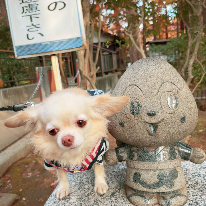 11cc8c0e 864f 4a6e 85fa 60cb5bf31e38 1700736110015