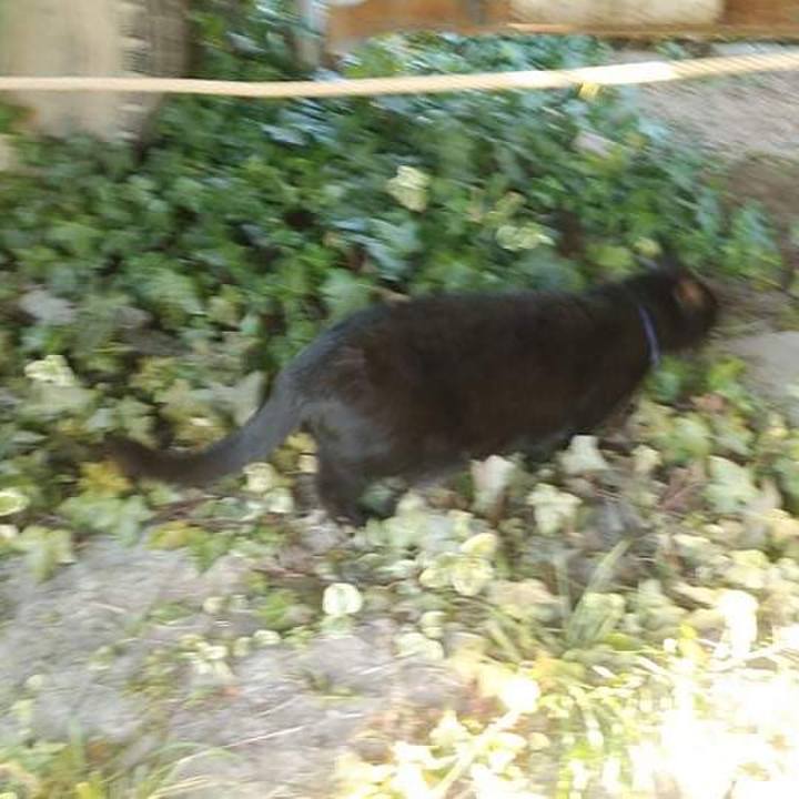 11cc8f40 62f5 4e66 adaf 016ed1298d6e 1644305624555