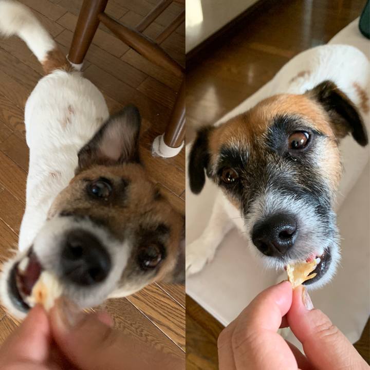 11cc9a03 1ec5 4954 867e b3cc64561bde 1569712895039