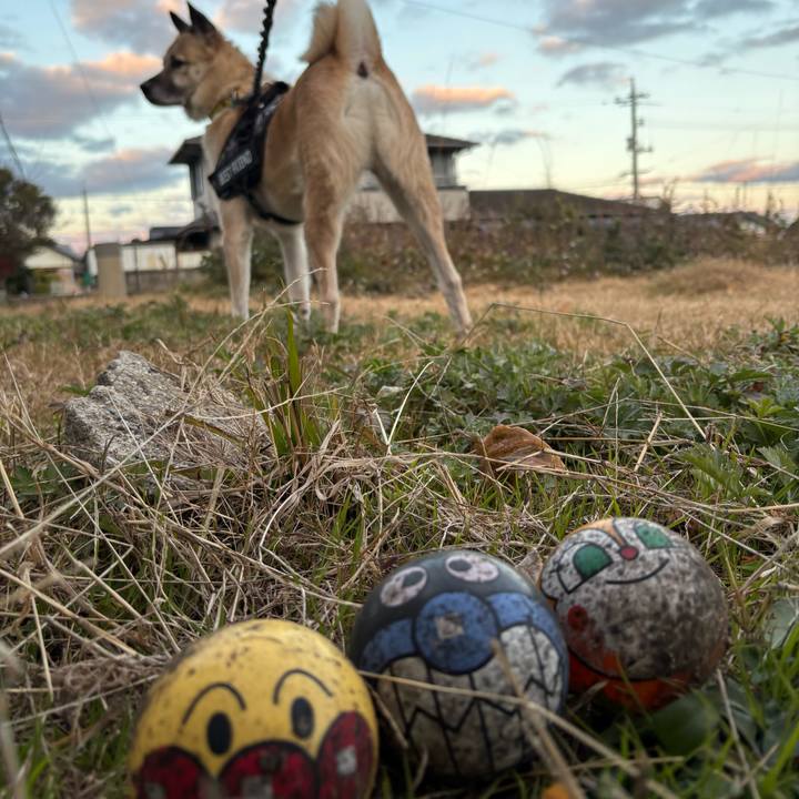 11ccc594 9501 492b 841f afb867c5c9e1 1735463832833