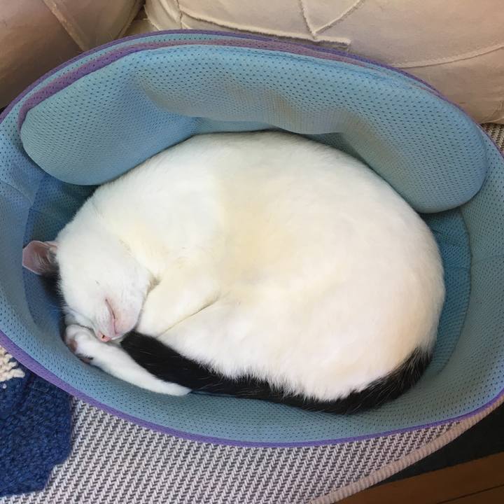 11ccce38 705f 48b2 95a0 6fa557c963fe 1509518641666