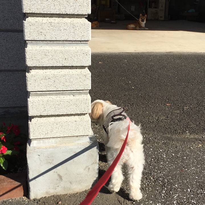 11ccce51 a729 4314 98b8 5a96cf6f9fb2 1540430337713