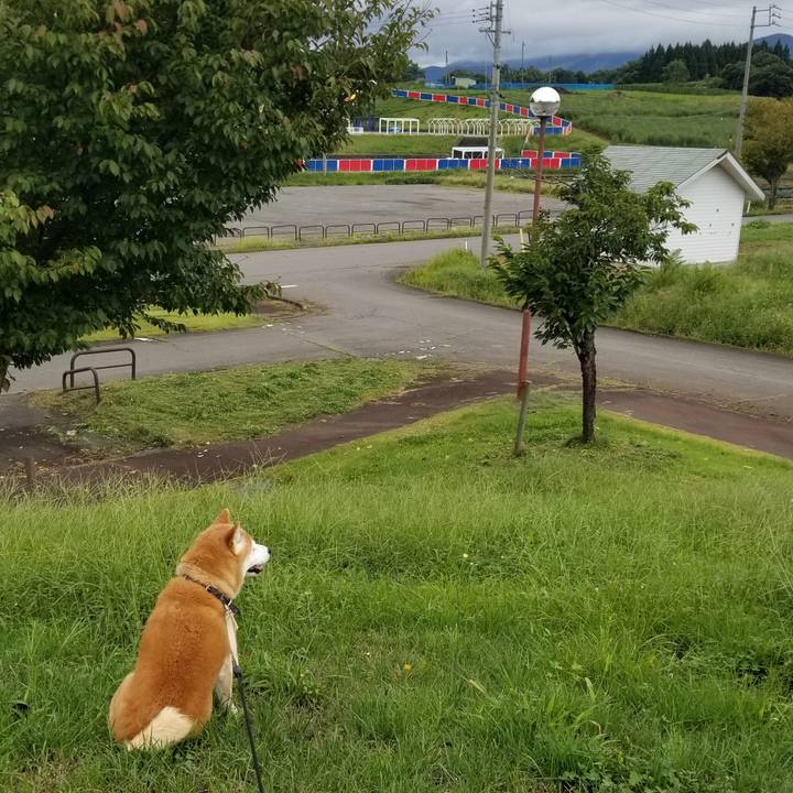 11ccd299 916b 4d15 8bb8 670e59167a0f 1662702007244