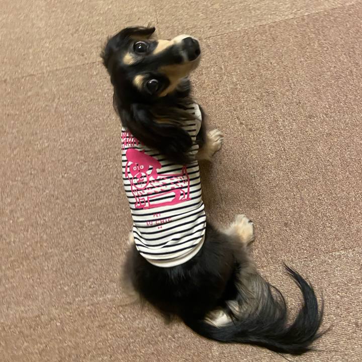 11cce677 c3fb 4ddf add2 0ef7d7ee50c7 1759311976328