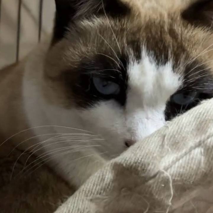 11cd1140 e2ca 42d2 b032 02153e422745 1739447648473