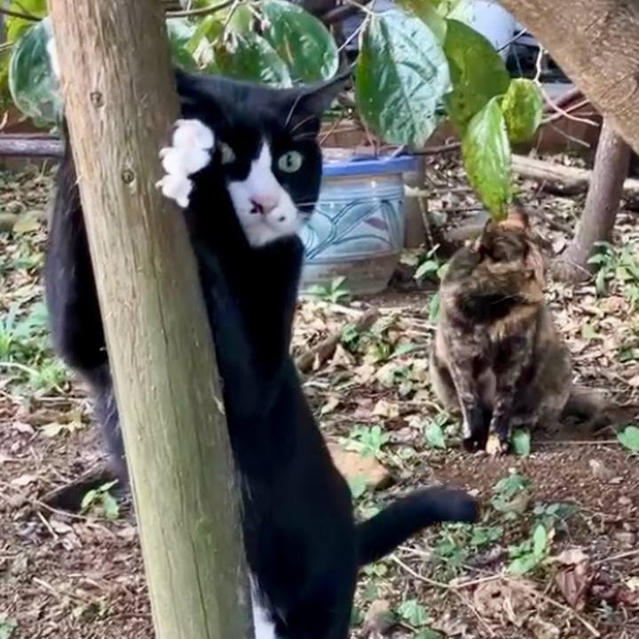 11cd1f1d fd64 4189 94f1 3e02bcb641a2 1728545488521