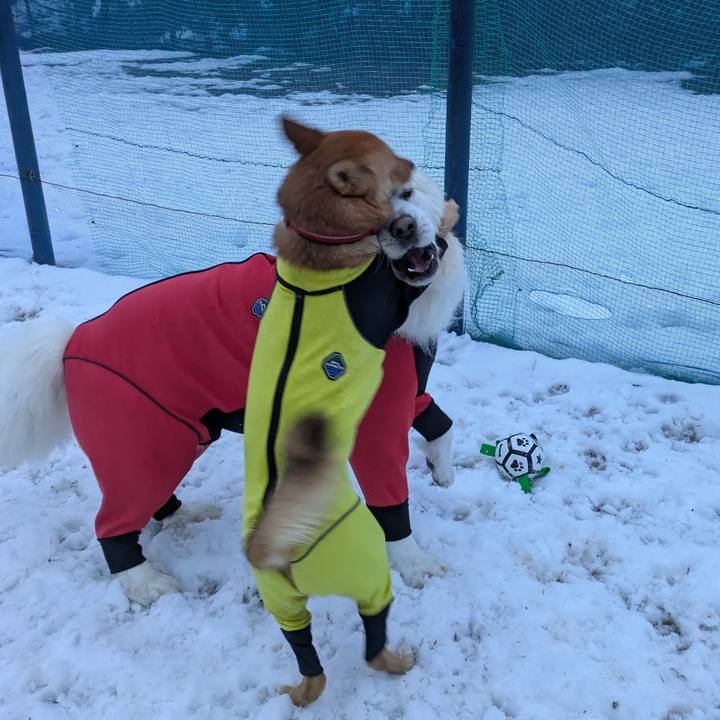 11cd4490 9cb0 4c73 8b9e ffad6bebb26d 1768052736956