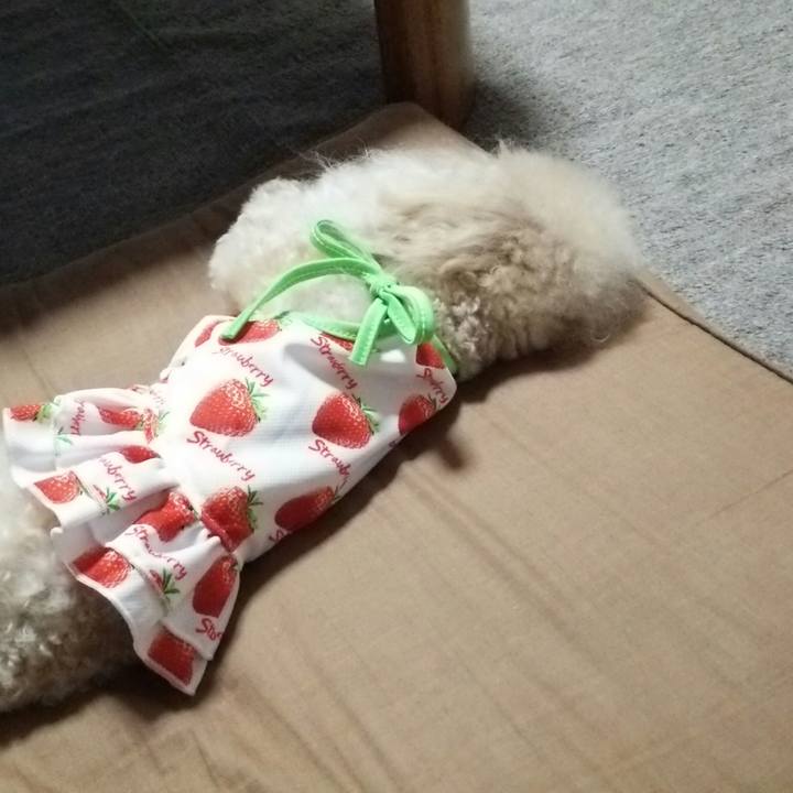 11cd56af e284 47aa 9389 0045df7473ec 1534943875243