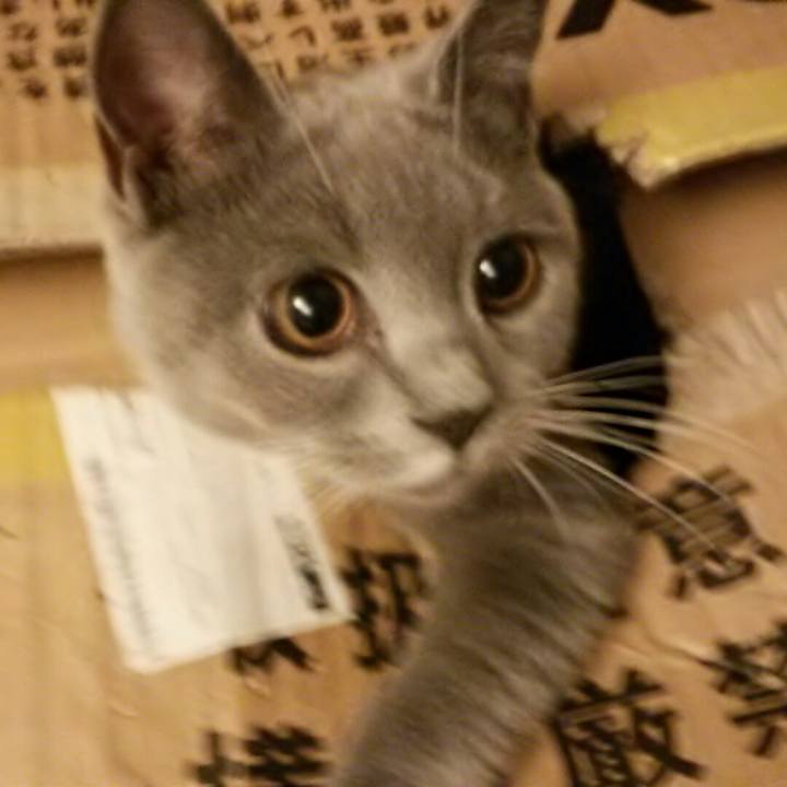 11cd6e6a cce3 43c8 aca8 1eb4de54fb7c 1538432428542