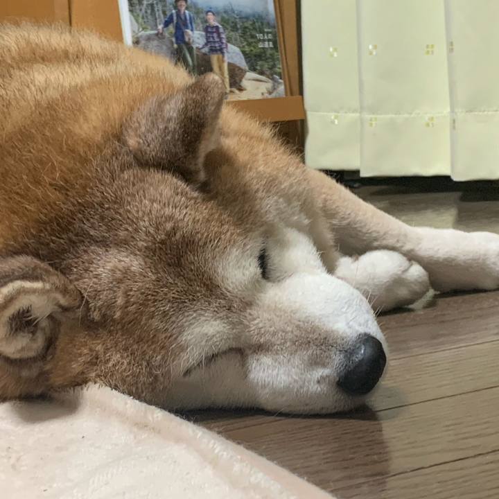 11cd8eab 4a0a 4ed2 b1c2 62744f11f28e 1612707788271