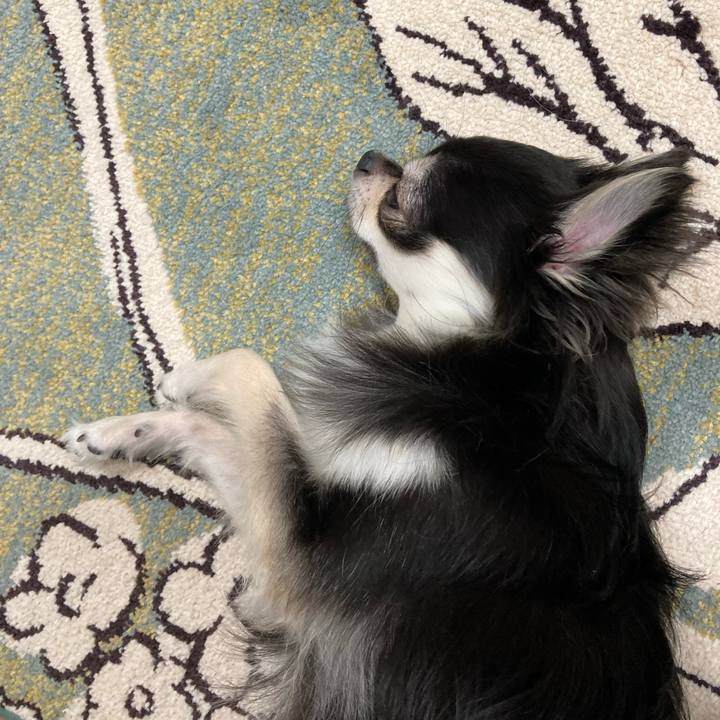 11cd907d 20cb 4321 92cc 17c137e297ca 1625375938443