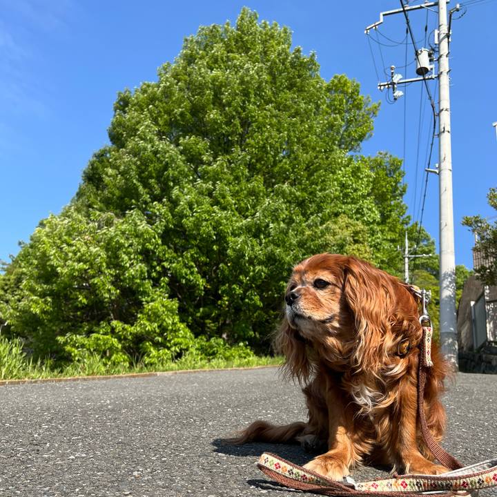 11cd936f f3e1 4706 91a3 04475f932074 1745713313118