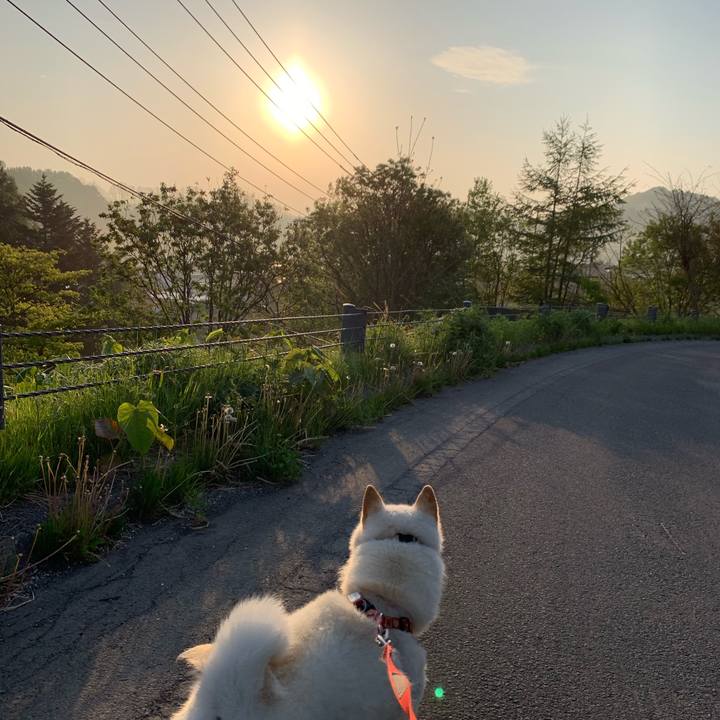 11ce89f1 845f 4a3a be07 166b9a258768 1558041143154