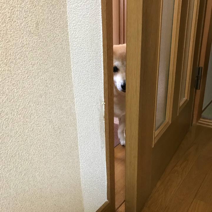 11ce9e97 189a 41c1 8736 cb0c5c820ae2 1528347132452