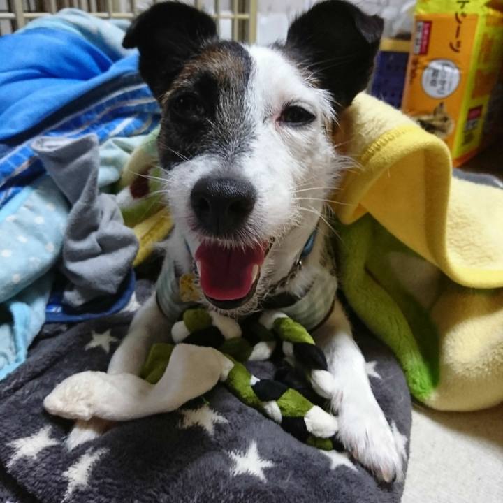 11cea759 b7f6 42e6 8936 e2fa527b63b9 1571835660957