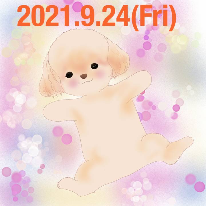 11cee016 a649 4098 9056 86ecb83ce4a4 1632483985262