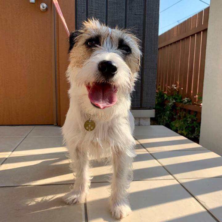 11cf0ad2 aec8 496f b810 1f69c86b1c75 1623112872446