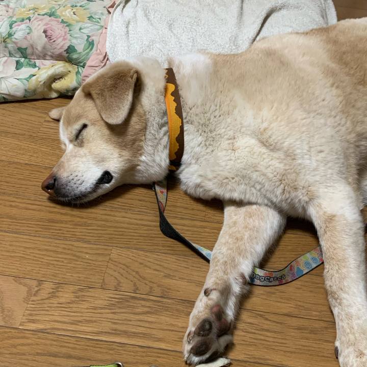 11cf6e5a d57c 4359 9509 3bbfda78c13b 1588426493818