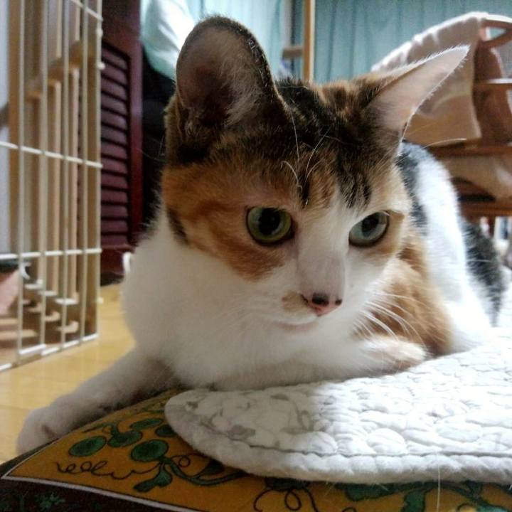 11cf8242 95d0 48e4 a07e e92b9b679205 1609747749504