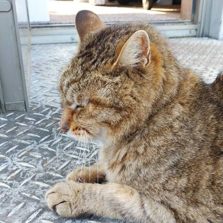 11cf8826 af05 4d15 810a e7433d44da16 1622334074280