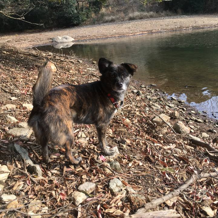 11cf8fd9 b122 43b1 94c7 f719bc4b28fc 1515157640218