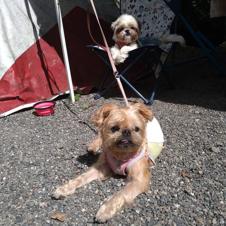 11cfe531 0709 48f2 a77d e82d4319c966 1600658458549