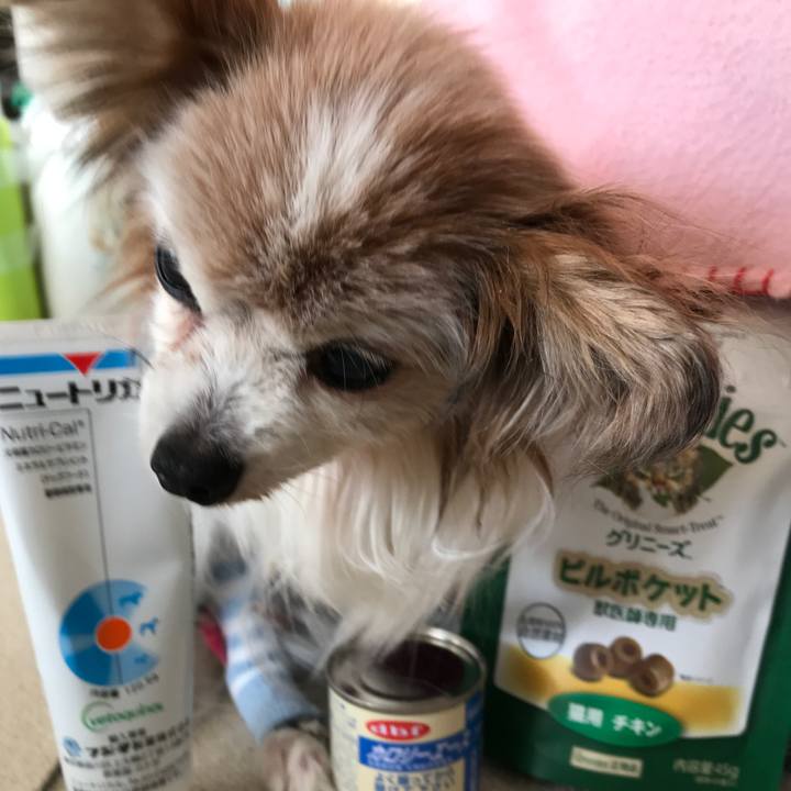 11cfebbf 2419 46cc ba2a 0263519082c7 1518754528309