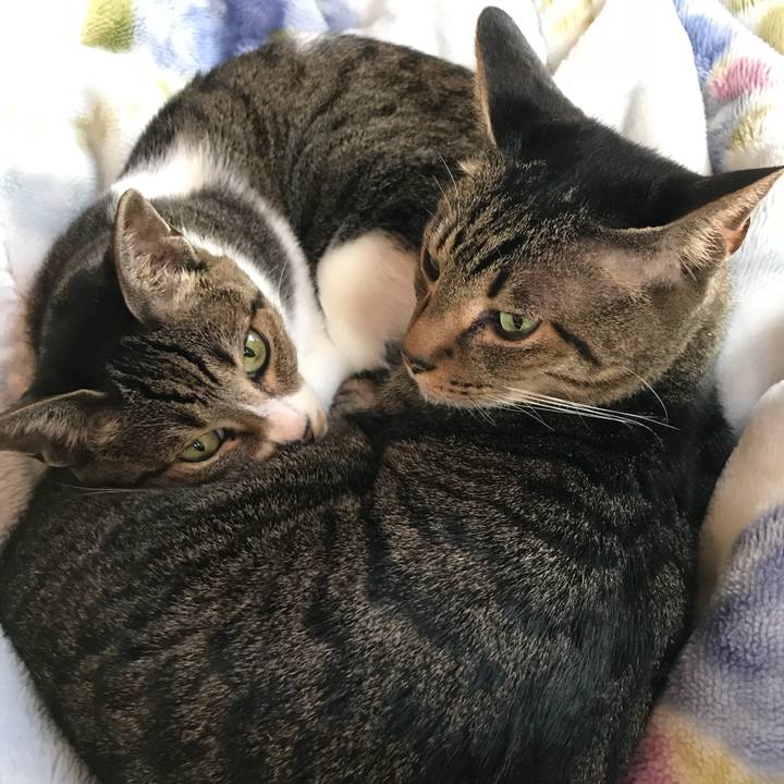 11cfee29 9e4f 4d37 9b92 540866eb3a9b 1512780737599