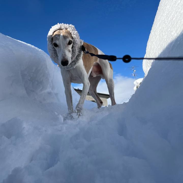 11d022ad 9456 48a5 9b76 a72e2475ac3e 1770108398302