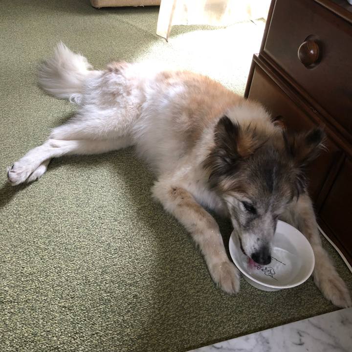 11d024ea 4f03 4fda 9cf1 7d04802fc017 1530581756056