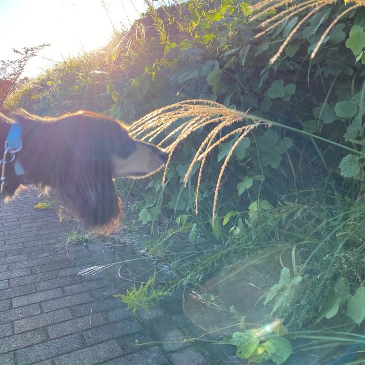 11d027ed 08e6 4467 a978 5d4ae688c8c6 1697515199968