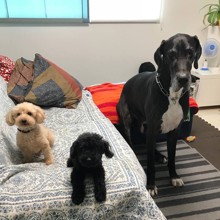 11d030b8 57ec 4b2d bdcf bccbcc6fb2c8 1533595203452