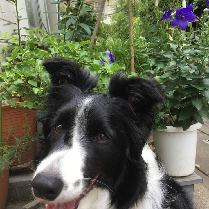 11d03156 42f3 49c5 b055 df880a22e0ee 1529210729407