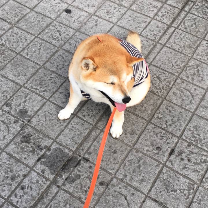 11d04409 cd45 48e5 8d63 1973b9a3837c 1566168505259