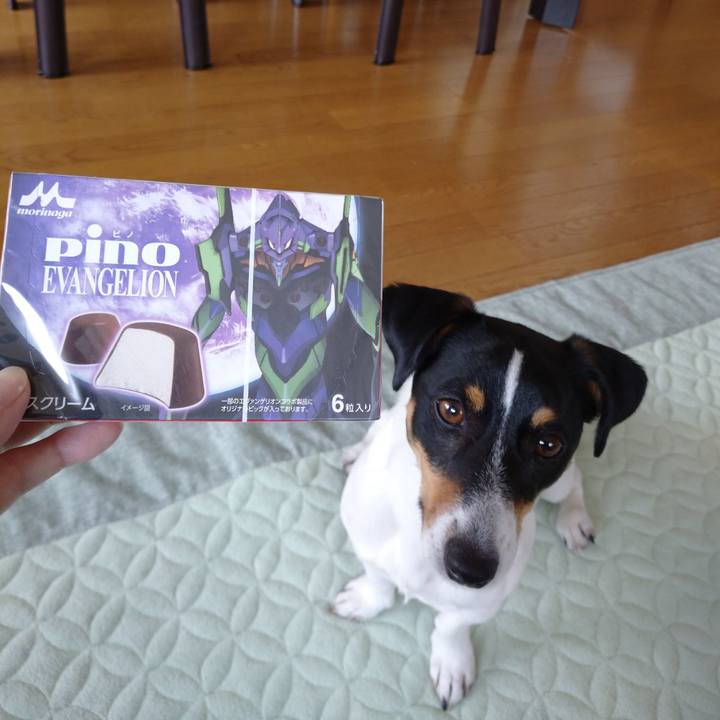 11d04e60 cb56 49b1 842e 873ea3a87cd8 1586259337602