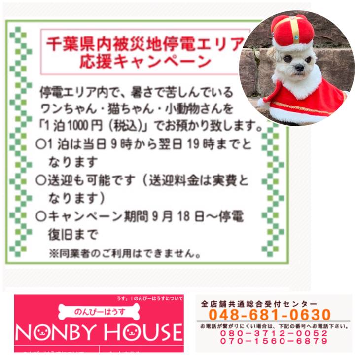 11d061d7 63e4 4991 9ff8 e0383a8a050e 1568634636456