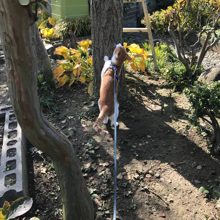 11d0a6a7 3485 498f 908c 8fd8a15b2e6a 1509415416377