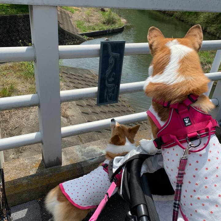 11d0e16a 2b37 4334 8987 7b714889129c 1618200630605