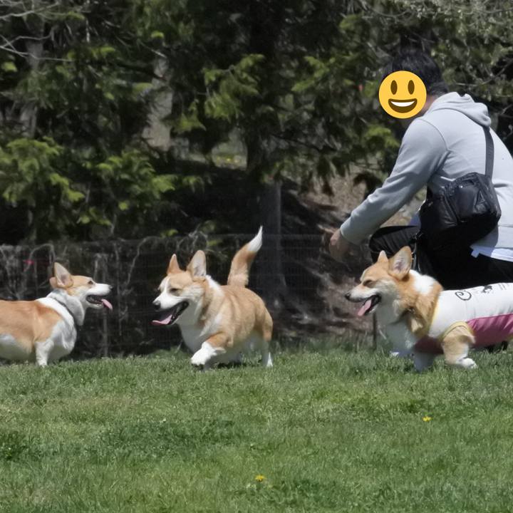 11d110a9 ed12 4b2a 88ba b358e208f1e4 1557534654135