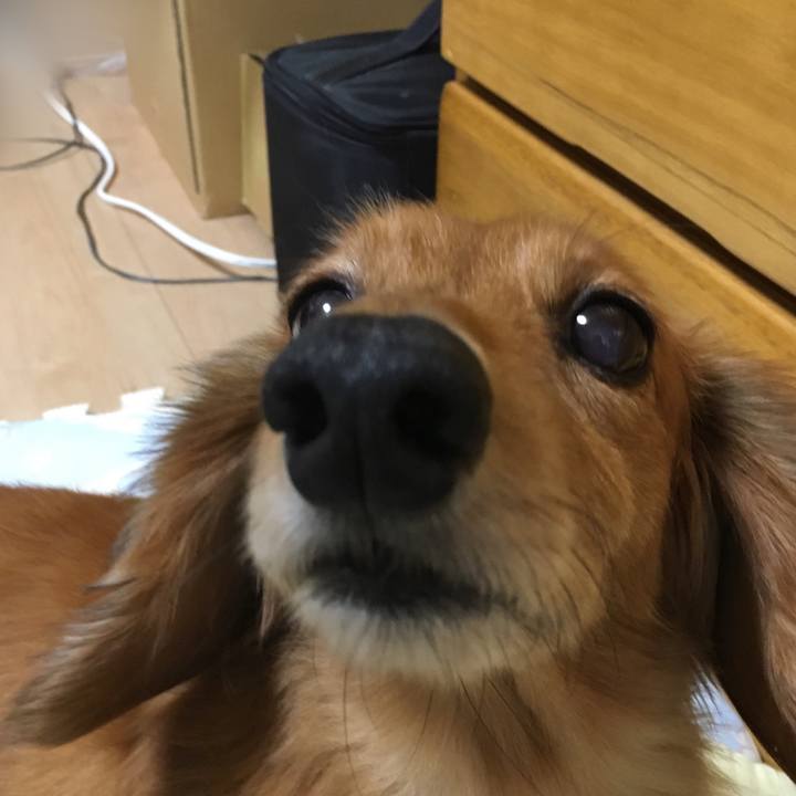 11d11f20 43ed 4762 8836 0067be2e4d5f 1530540286371