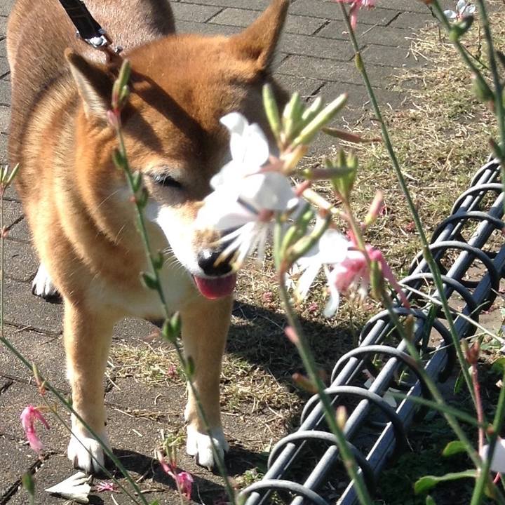 11d13e37 8ac4 4e44 951c 0c5c11889878 1542197558464