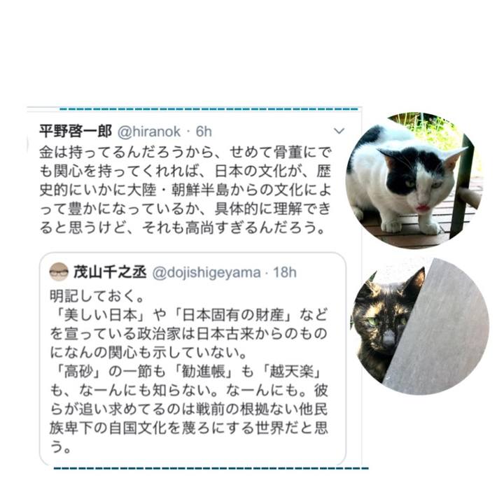 11d14b8c 1c0c 431f b3de 88f7903630e3 1568553376634